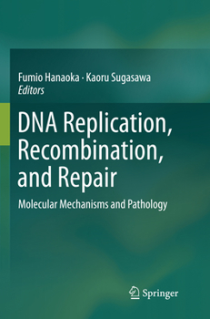 Paperback DNA Replication, Recombination, and Repair: Molecular Mechanisms and Pathology Book