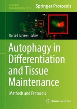 Hardcover Autophagy in Differentiation and Tissue Maintenance: Methods and Protocols Book