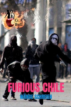 Paperback Furious Chile: Wände Schreien [German] Book