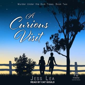 MP3 CD A Curious Visit Book
