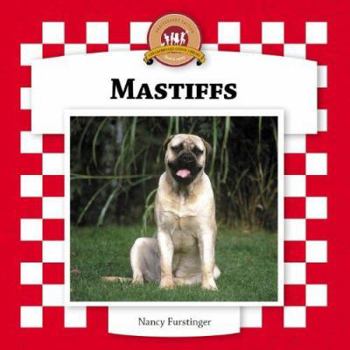 Mastiffs (Dogs Set VI) - Book  of the Dogs