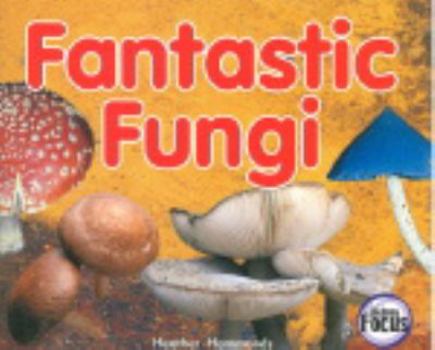 Nelson Focus 4a Fantastic Fung