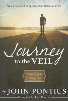 Paperback Journey to the Veil Book