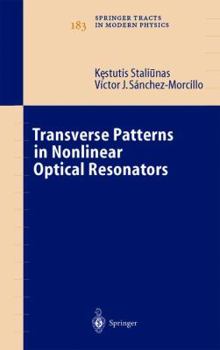 Hardcover Transverse Patterns in Nonlinear Optical Resonators Book
