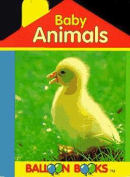 Board book Baby Animals Book