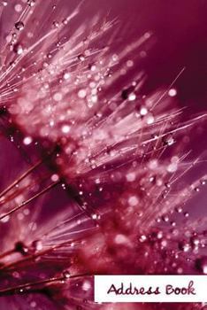 Address Book.: (Flower Edition Vol. C11) Glossy And Soft Cover, Large Print, Font, 6" x 9" For Contacts, Addresses, Phone Numbers, Emails, Birthday And More.