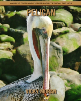 Paperback Pelican: Amazing Facts and Pictures about Pelican for Kids Book