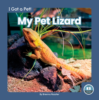 Library Binding My Pet Lizard Book