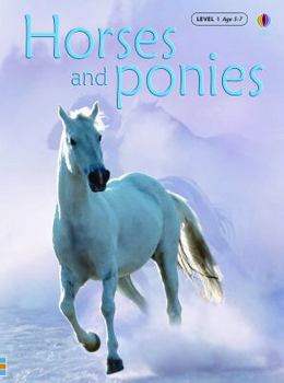 Horses And Ponies (Usbourne Beginners, Level 1) - Book  of the Beginners Series