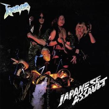 Vinyl Japanese assault Book