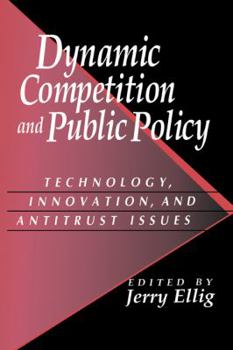 Paperback Dynamic Competition and Public Policy: Technology, Innovation, and Antitrust Issues Book