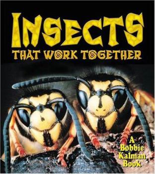 Library Binding Insects That Work Together Book
