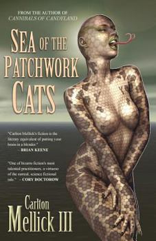 Paperback Sea of the Patchwork Cats Book