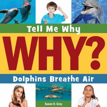 Paperback Dolphins Breathe Air Book