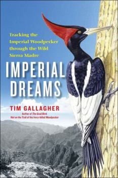 Hardcover Imperial Dreams: Tracking the Imperial Woodpecker Through the Wild Sierra Madre Book
