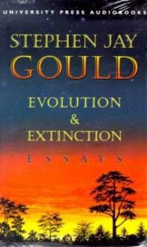 Audio Cassette Evolution & Extinction Book