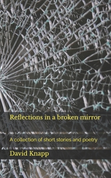 Paperback Reflections in a broken mirror Book