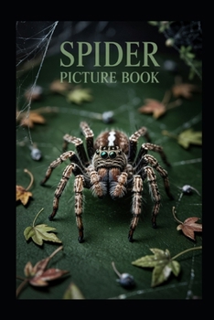 Paperback Spiders Picture Book