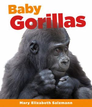 Library Binding Baby Gorillas Book
