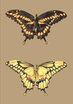Carnet Ligna(c), Papillons Cresphontes