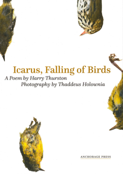 Paperback Icarus, Falling of Birds Book
