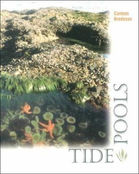 Paperback Tide Pools Book