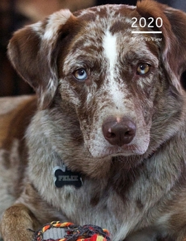 2020 A4 Diary Week To View Planner For All Occasions: | Year Planner For Business, Office, Home, University, College, School, Appointments, Organizer.