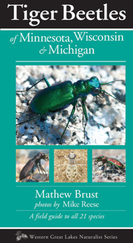 Paperback Tiger Beetles of Minnesota, Wisconsin & Michigan Book