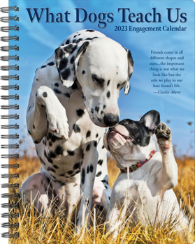 Calendar What Dogs Teach Us 2023 Engagement Calendar Book