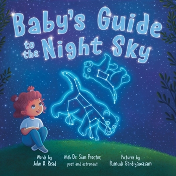Board book Baby's Guide to the Night Sky Book