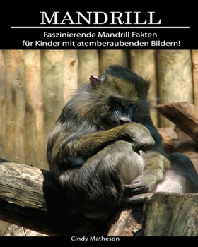 Mandrill: Faszinierende Mandrill Fakten f�r Kinder mit atemberaubenden Bildern!