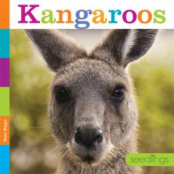 Paperback Kangaroos Book