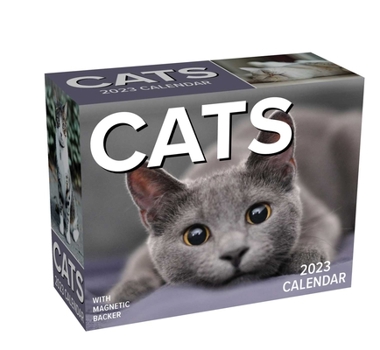 Calendar Cats 2023 Mini Day-To-Day Calendar Book