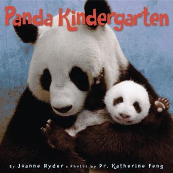 Hardcover Panda Kindergarten Book