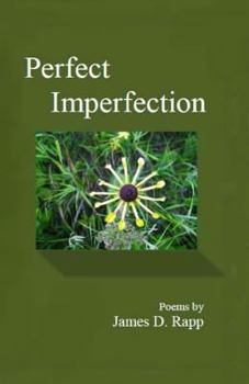Paperback Perfect Imperfection Book