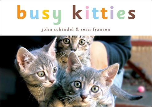 Busy Kitties - Book  of the A Busy Book