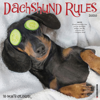 Calendar Dachshund Rules 2020 Wall Calendar (Dog Breed Calendar) Book