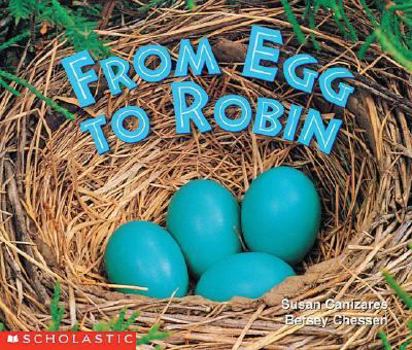 Paperback From Egg to Robin Book