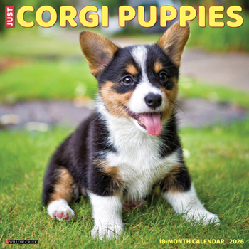 Calendar Corgi Puppies 2026 12 X 12 Wall Calendar Book