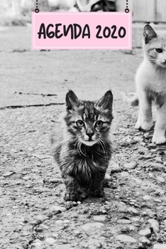 Agenda 2020: Hebdomadaire 1 Semaine par page Format A5 | Janvier 2020 à Décembre 2020 | Planificateur Organiseur Semainier avec Calendrier et Carnet ... Pour les Amoureux des Chats (French Edition)