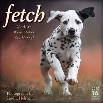 Office Product 2020 Fetch: Photographs by Sarah Helsocht 16-Month Wall Calendar: By Sellers Publishing Book