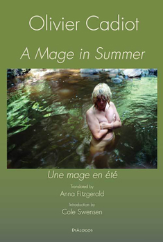 Paperback A Mage in Summer Book