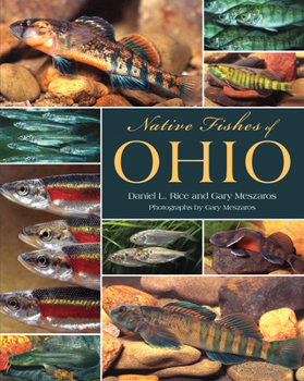 Paperback Native Fishes of Ohio Book