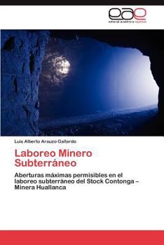 Paperback Laboreo Minero Subterráneo [Spanish] Book