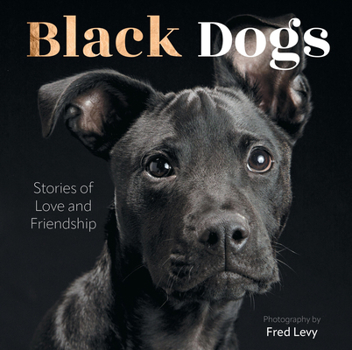 Hardcover Black Dogs: Stories of Love and Friendship Book