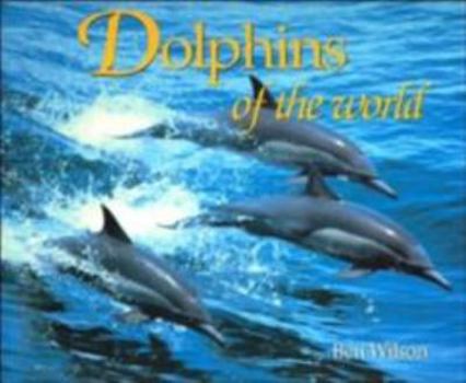 Paperback Dolphins of the World Book