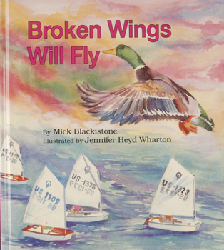 Hardcover Broken Wings Will Fly Book