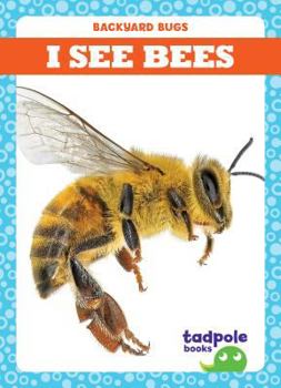 Veo Abejas / I See Bees - Book  of the Backyard Bugs