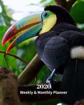 Paperback 2020 Weekly and Monthly Planner: Exotic Toucan - Monthly Calendar with U.S./UK/ Canadian/Christian/Jewish/Muslim Holidays- Calendar in Review/Notes 8 Book