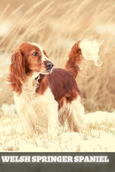 Paperback Welsh Springer Spaniel: Complete breed guide Book